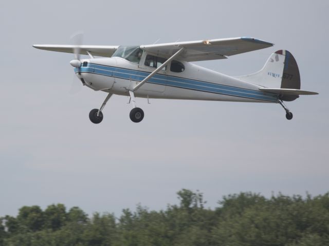 Cessna 170 (N2504D)