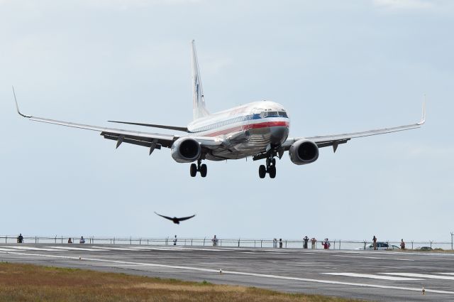 Boeing 737-800 —