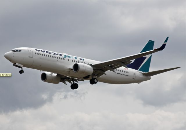 Boeing 737-800 (C-FCNW)