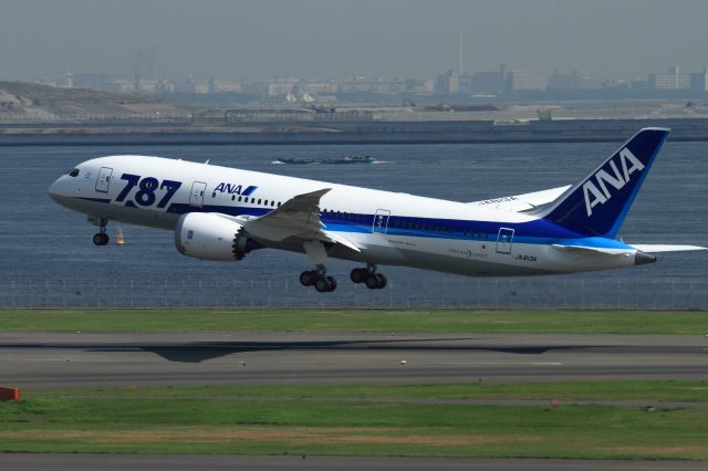 Boeing 787-8 (JA813A)