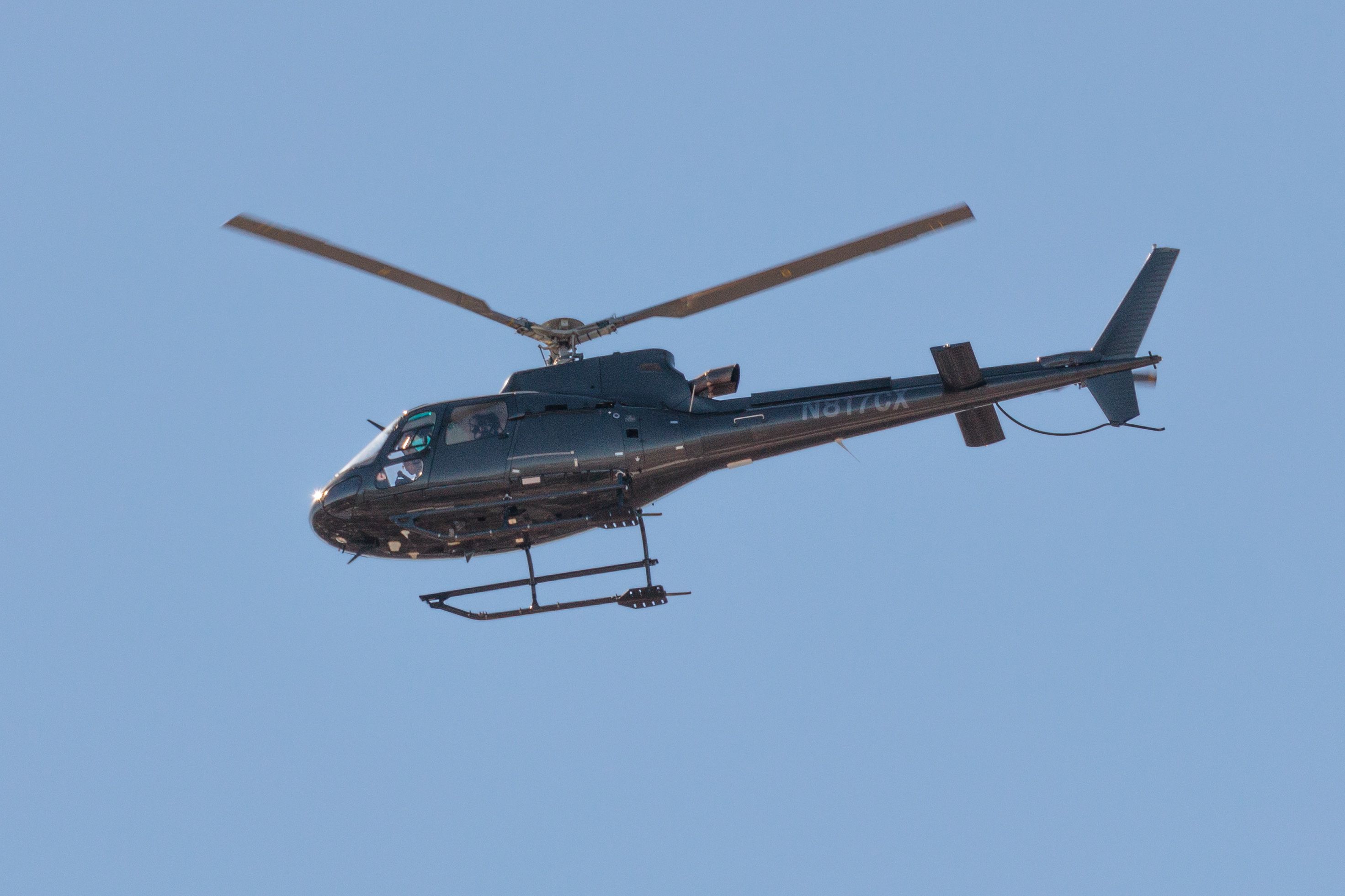 Eurocopter AS-350 AStar (N817CX)