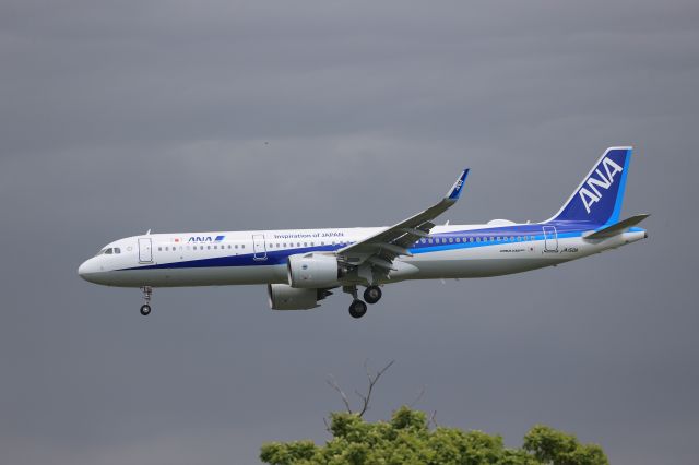 Airbus A321 (JA150A) - June 6th 2021:HND-HKD.