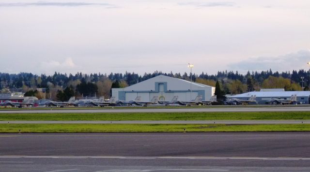 McDonnell Douglas F-15 Eagle — - A flock of Eagles.