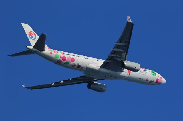 Airbus A330-300 (B-6129)