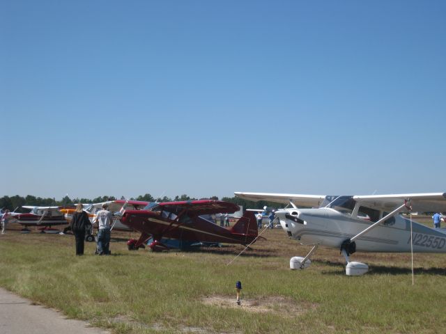 — — - Antique Fly In Camden, SC Oct 2, 2010