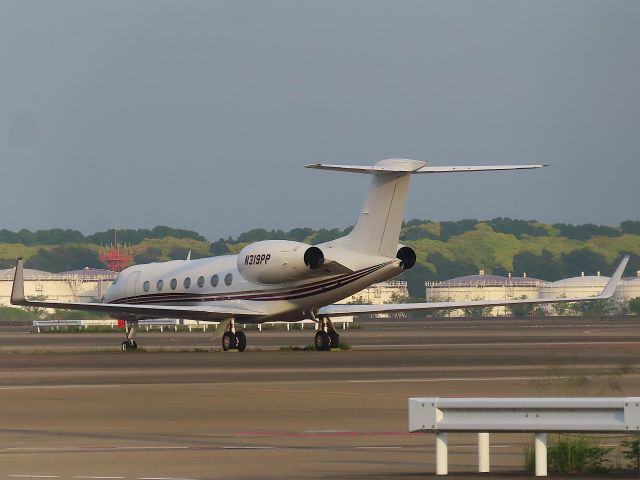 Gulfstream Aerospace Gulfstream V (N319PP) - Photo taken on Jun 06, 2023.