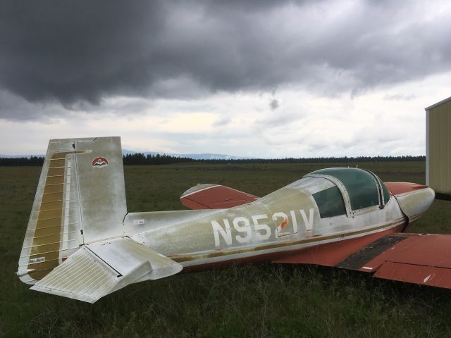 Mooney M-10 Cadet (N9521V) - A rare Mooney M-10 Cadet, I saw it back in December but it was much too snowy to get a closer look. I finally got to do that today, the poor thing has been untouched for 24+ years. I might buy it and fix it up...