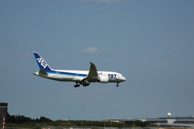 Boeing 787-8 (JA813A)