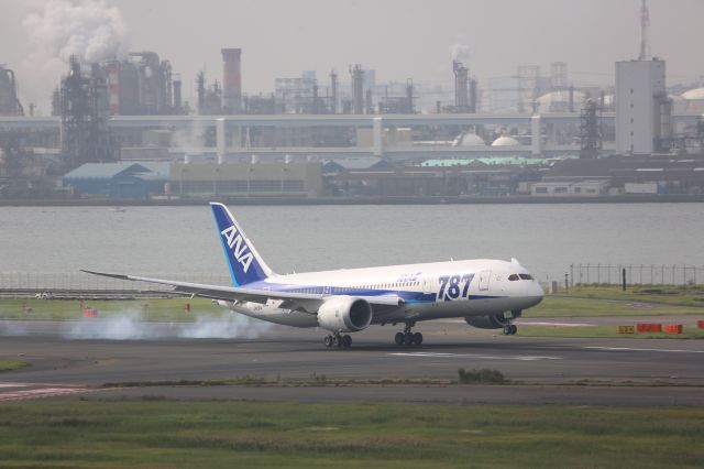 Boeing 787-8 (JA821A)