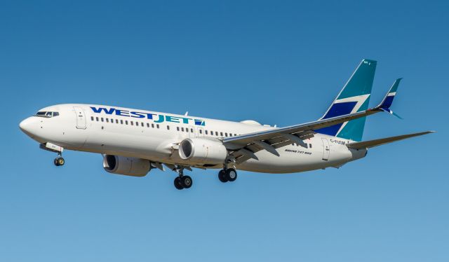 Boeing 737-800 (C-FUSM)