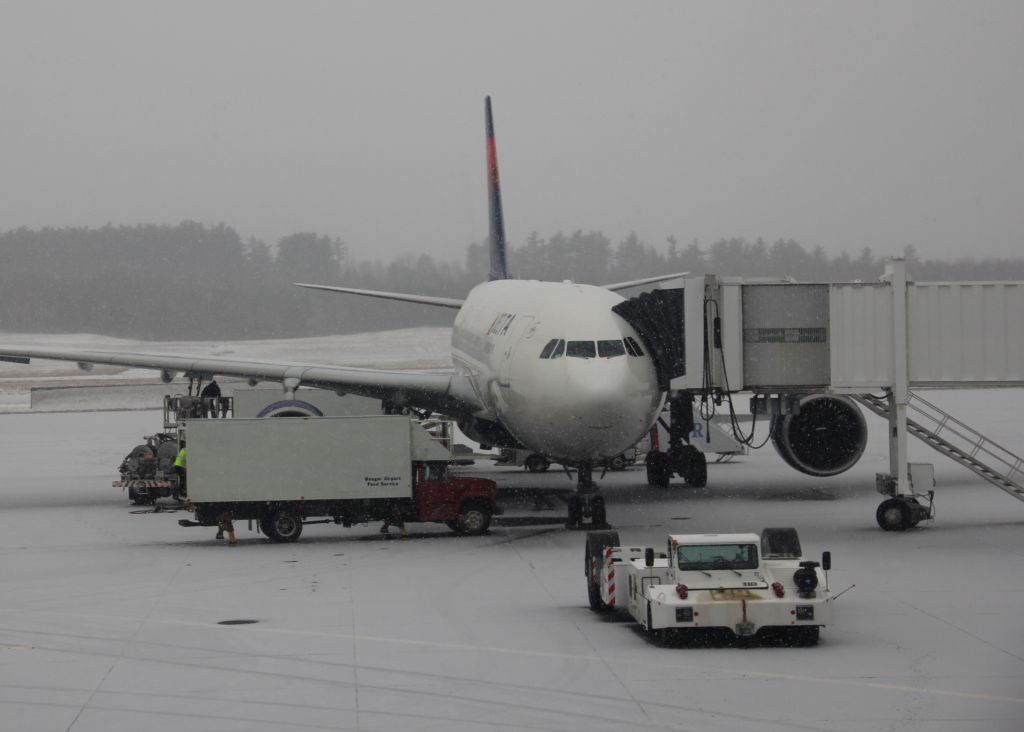 Airbus A330-200 (DAL8693)