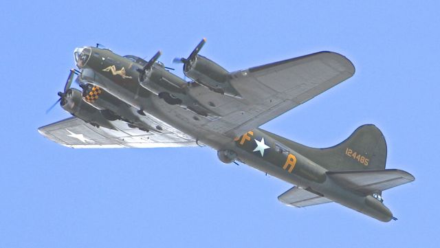 G-BEDF — - Taken from Worthing Pier flying at Shoreham Airshow 31 Aug 2014