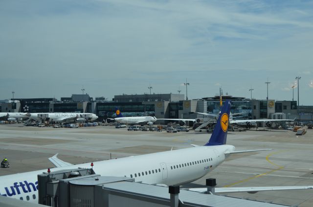 Airbus A330-300 (D-AIRC) - A330 and various other Lufthansa planes at Frankfurt.