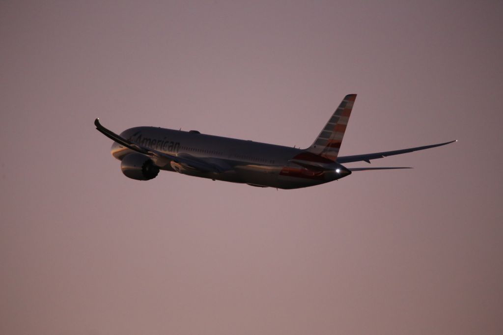 Boeing 787-9 Dreamliner (N833AA)