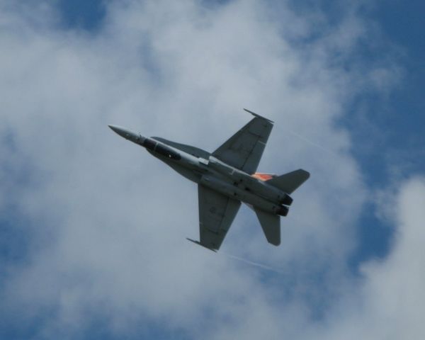 McDonnell Douglas FA-18 Hornet —