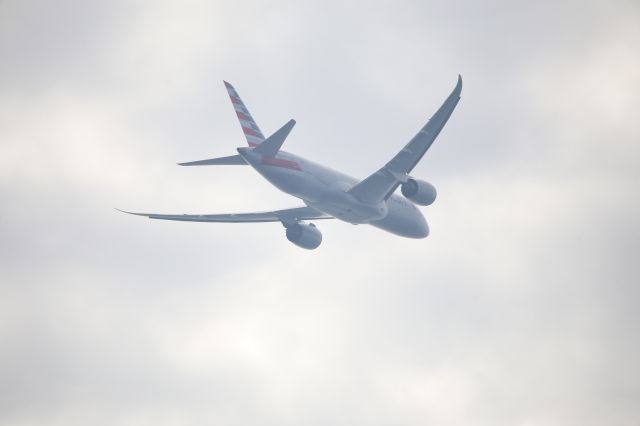 Boeing 787-8 (N810AN)