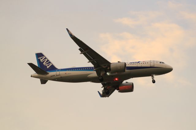 Airbus A320 (JA213A) - July 4th 2020:HND-HKD.