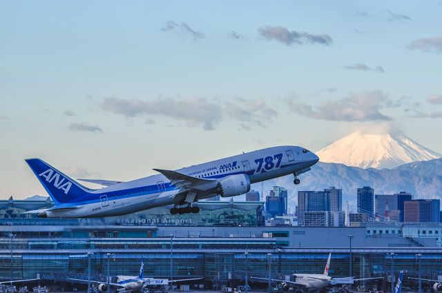 Boeing 787-8 (JA812A)