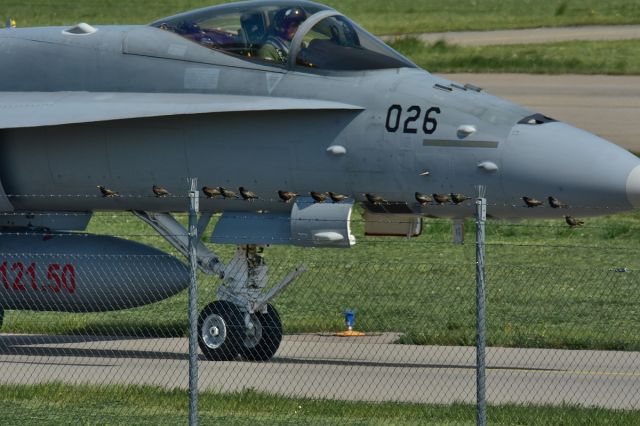 McDonnell Douglas FA-18 Hornet (J5026) - Zaungäste - the watch for Hornets