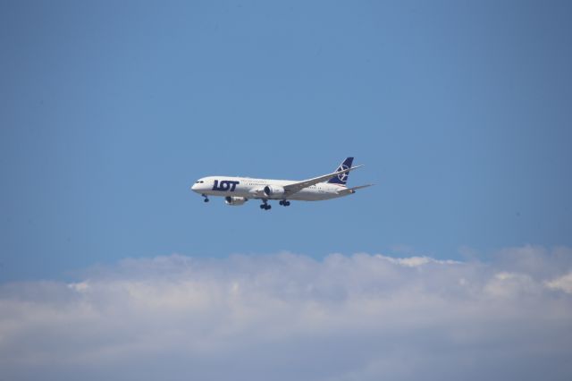 Boeing 787-9 Dreamliner (SP-LSG)