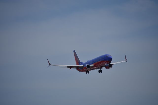 Boeing 737-800 (N8601C) - 100BG