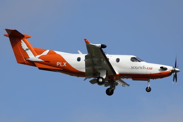 Pilatus PC-12 (ZK-PLX) - on 31 January 2019