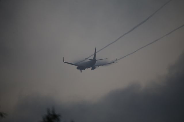 Boeing 737-900 (N831DN)