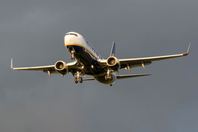 Boeing 737-800 (EI-DLH)