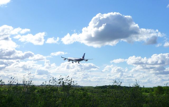 Airbus A340-300 (CC-CQE)