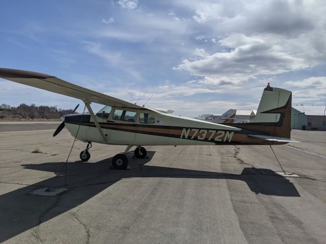 Cessna 175 Skylark (N7372M) - LOVE THIS SKYLARK