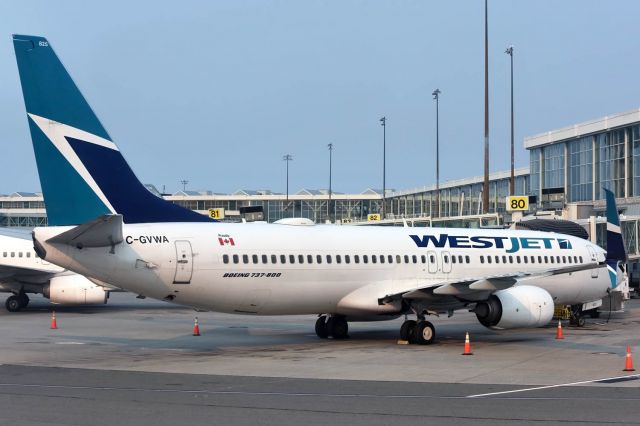 Boeing 737-800 (C-GVWA)