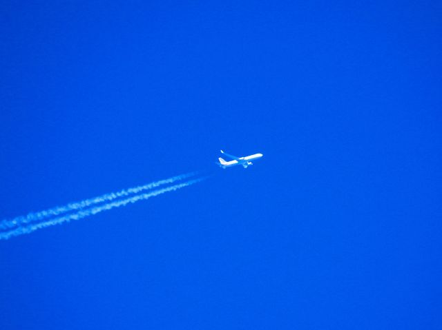 BOEING 767-300 (N389AA) - AAL243 JFK-MIA