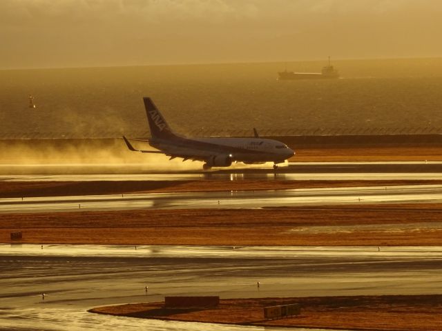 Boeing 737-700 — - 中部国際空港展望デッキにてbr /雨上がりの1月17時頃の撮影です。