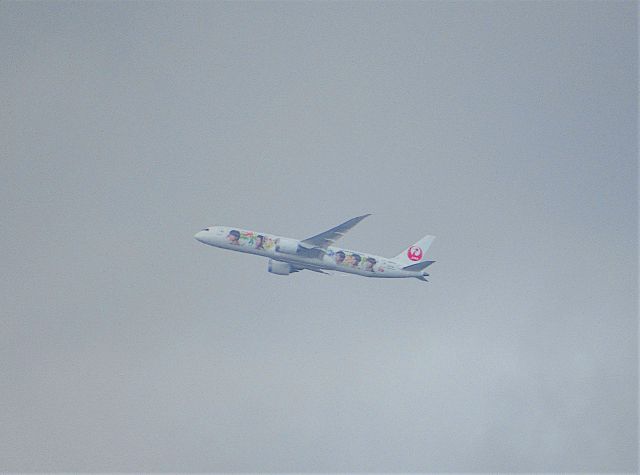 JA873J — - Photo taken April 10 2021 from my window. The Aircraft has the Arashi JAL-Hawaii Livery.