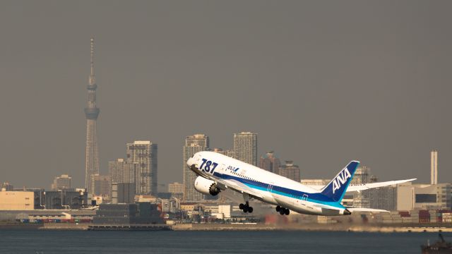 Boeing 787-8 (JA814A) - Boeing 787-881br /787-8 Dreamlinerbr /October.18.2014 Tokyo International Airport [HND/RJTT] JAPAN