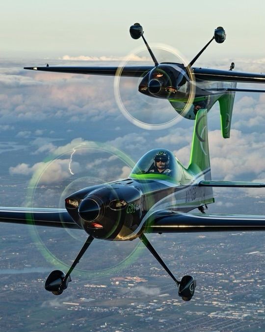 GAME COMPOSITES GB-1 GameBird (N80GB) - Gamebird Formation. 