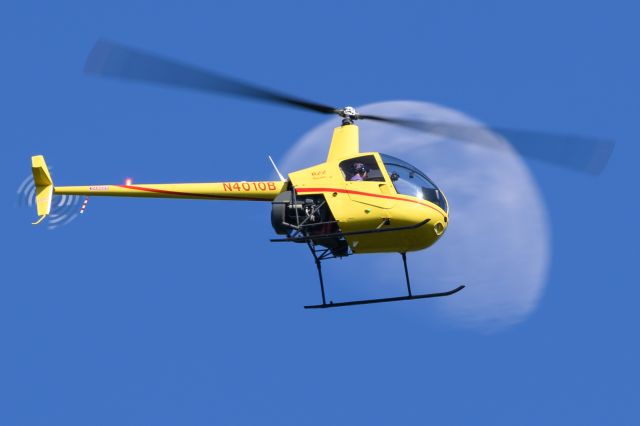 Robinson R-22 (N4010B)
