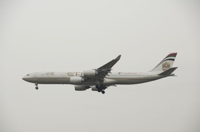 Airbus A340-500 (A6-EHD) - Final Approach to NRT Airport Runway 34L on 2011/11/3