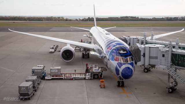 Boeing 787-9 Dreamliner (JA873A) - R2-D2 STAR WARS LIVERYbr /ANA 787-9 JA873Abr /October.20.2015 Hakodate Airport [HKD/RJCH] JAPAN