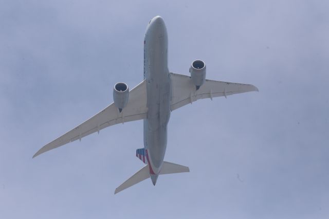 Boeing 787-8 (N810AN)