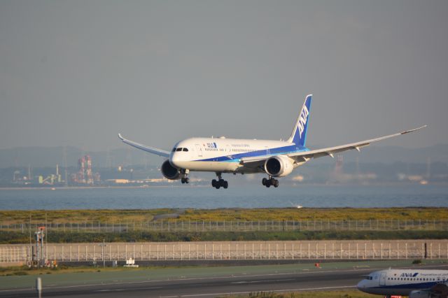 Boeing 787-8 (JA875A) - Oct.15.2016br /Landing at RWY34Rbr /Nikon D7100 / Sigma 50-500mm(1:4.5-6.3)APO HSMbr /FINE / 4496×3000