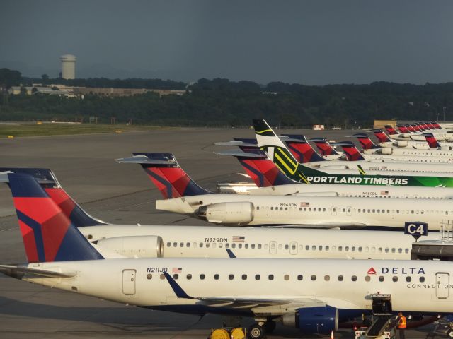 — — - Lineup of Delta (and one Alaska) tails at MSP