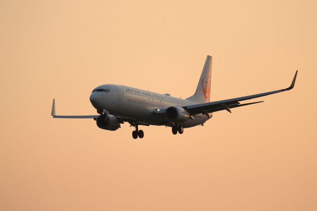 Boeing 737-800 (JA342J) - July 3rd 2020:HND-HKD.