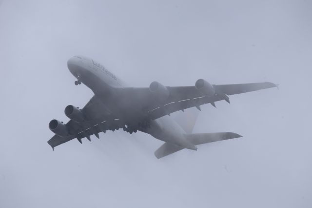 Airbus A380-800 (D-AIME)