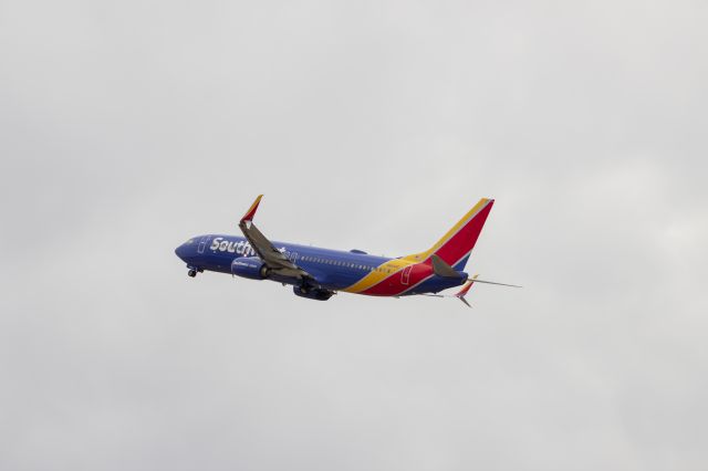 Boeing 737-800 (N8644C)