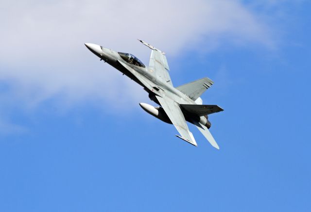 McDonnell Douglas FA-18 Hornet — - Wings over Illawarra 2016 Australia.