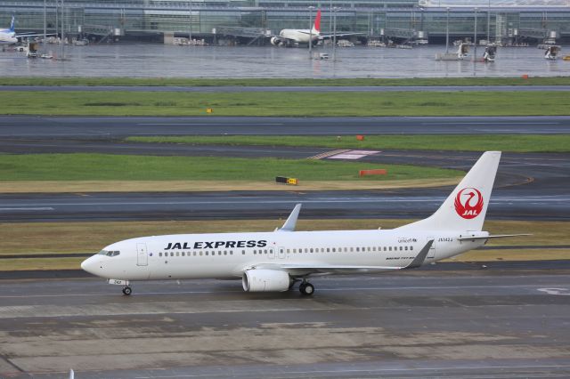 Boeing 737-800 (JA342J)