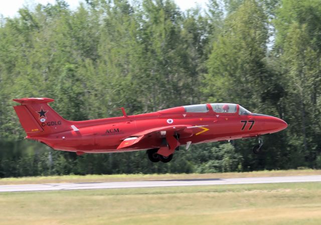 Aero L-29 Delfin (C-GDLG)