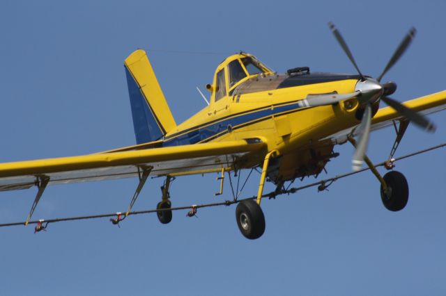 Partenavia P-68 (N602L) - Spraying some corn fields in Muncie Indiana