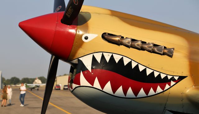 CURTISS Warhawk (N85104) - Warbird Roundup 2018 at Warhawk Air Museum, Nampa, ID, 25 Aug 18